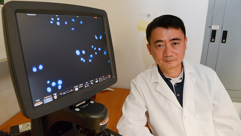 Xiaoyang Wu, PhD