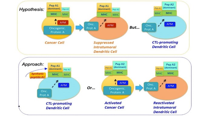 Roswell Park UChicago Medicine Ovarian Cancer SPORE Project 2