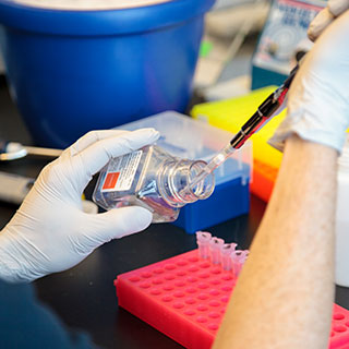 Postdoctoral researcher Romain Bouziat from the Department of Medicine at the University of Chicago Celiac Disease Center