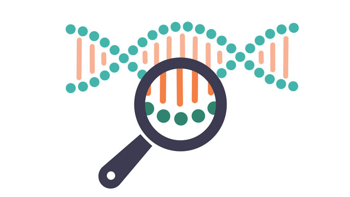 dna magnifying glass