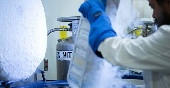 frozen specimens in cancer lab