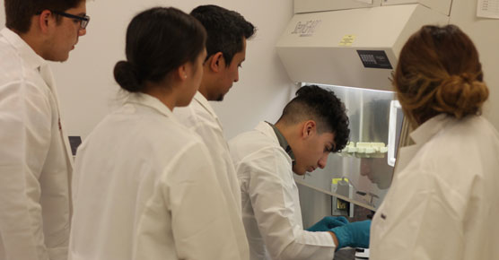 medical student education