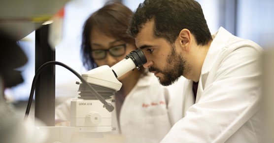 male and female researchers in Knapp Center