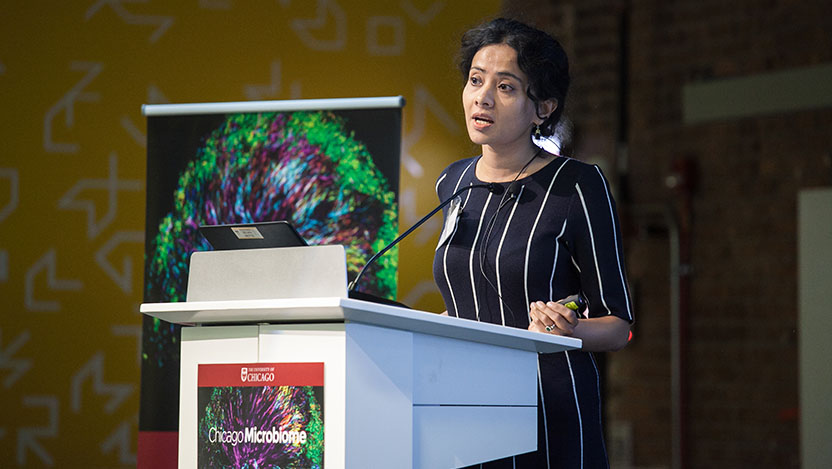 Anindita Basu, PhD