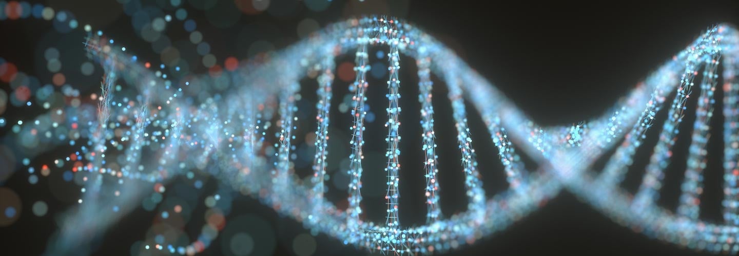 RNA and DNA