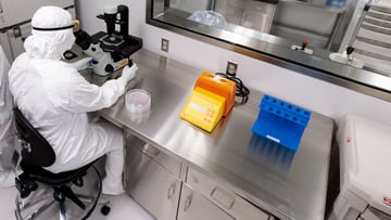 scientist in the cellular therapy laboratory, looking in microscope