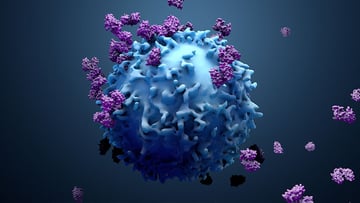 Researchers have long suspected that interleukin-12 could be a powerful cancer treatment, but it caused dangerous side effects. Now, Pritzker Molecular Engineering researchers have developed a version of the molecule that activates when it reaches a tumor, whereupon it eradicates cancer cells.