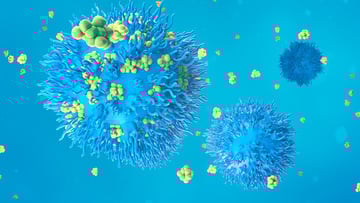 An illustration of proteins with lymphocytes