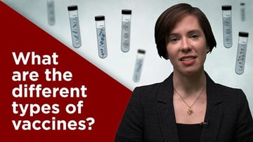 What are the different types of vaccines?