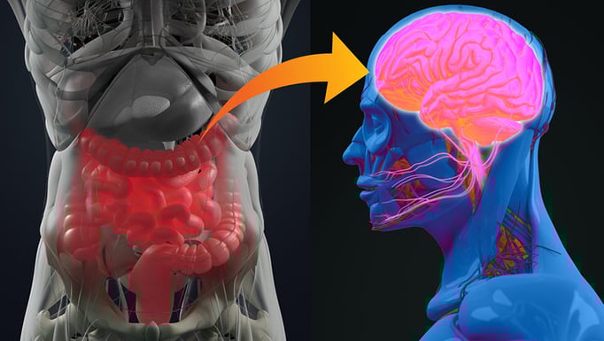New IBD research connecting microbiome and anxiety and depression
