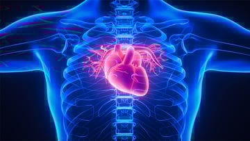 aortic image