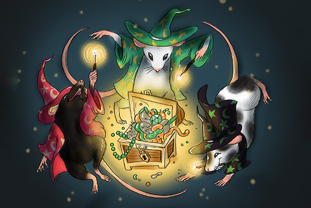 Mouse microbiome graphic
