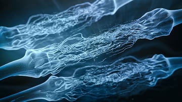 Neuron synapse hologram