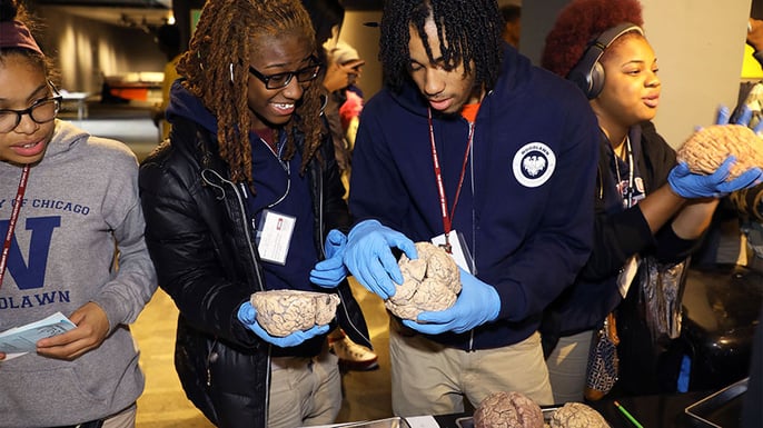 Students at the Social Neuroscience Fair