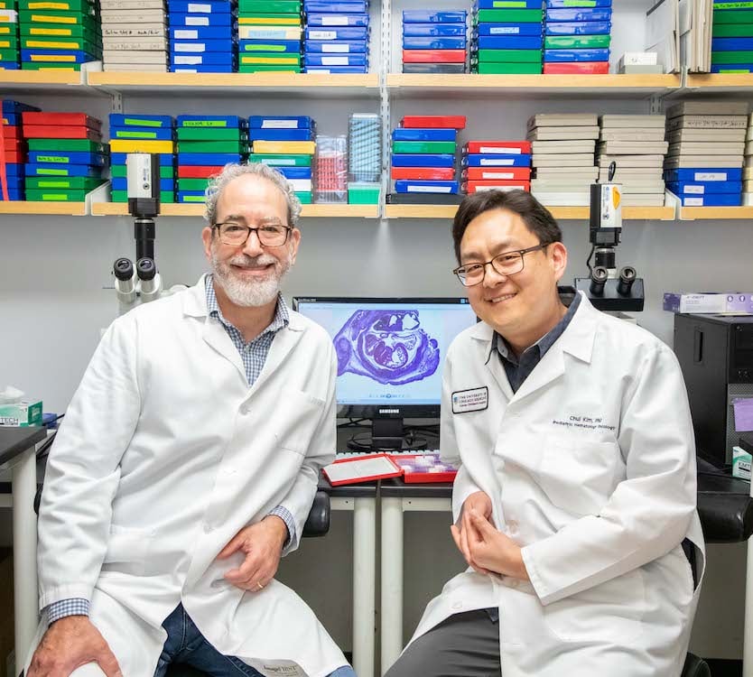 Ivan Moskowitz, MD, PhD, Professor of Pediatrics, Human Genetics, and Pathology, and Chul Kim, PhD, Research Professional III, in the Moskowitz lab.