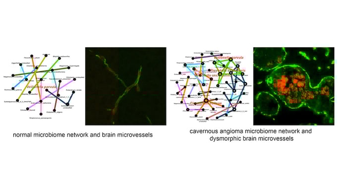 awad research