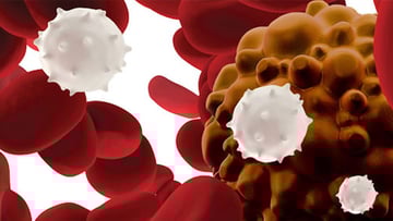 car t cell therapy