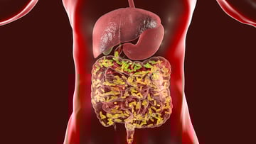 intestinal microbiome image