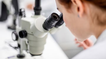 A scientist looking into a microscope.