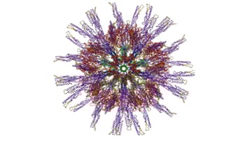 nano vaccine