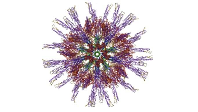 nano vaccine