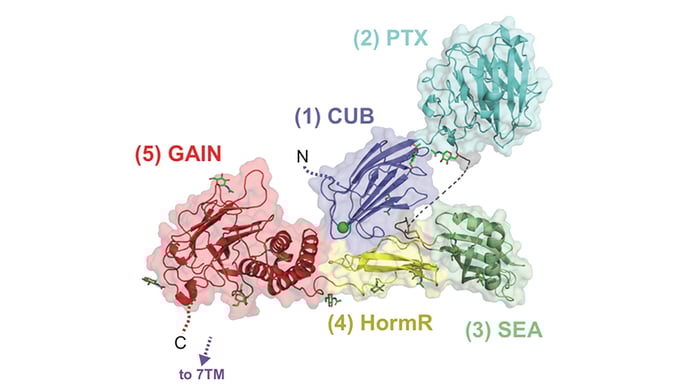 protein structure