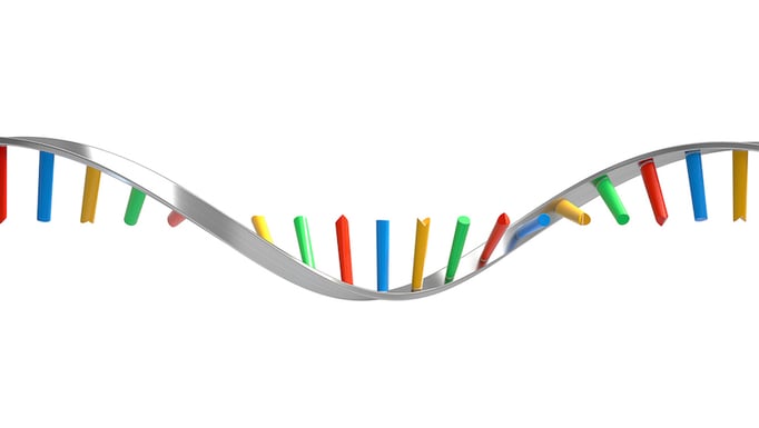 RNA