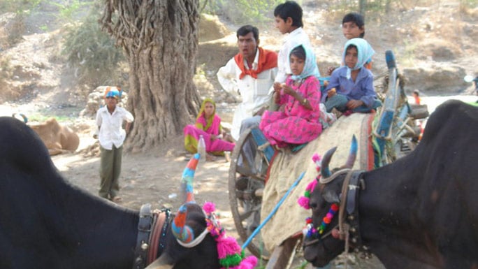 An indian family with their cattle
