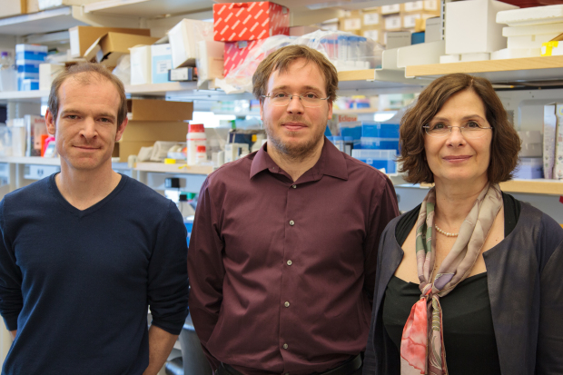 Bana Jabri, MD, PhD, Romain Bouziat, and Reinhard Hinterleitner