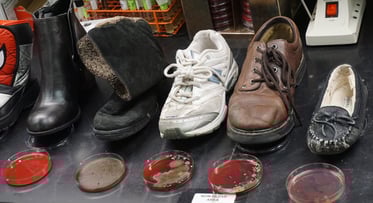 germ cultures from shoes
