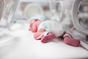 premature infant