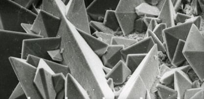 Kidney stone surface