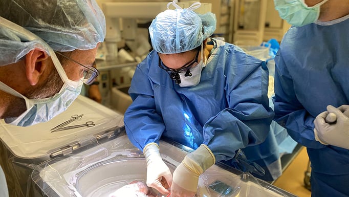 Angelica Perez-Gutierrez, MD