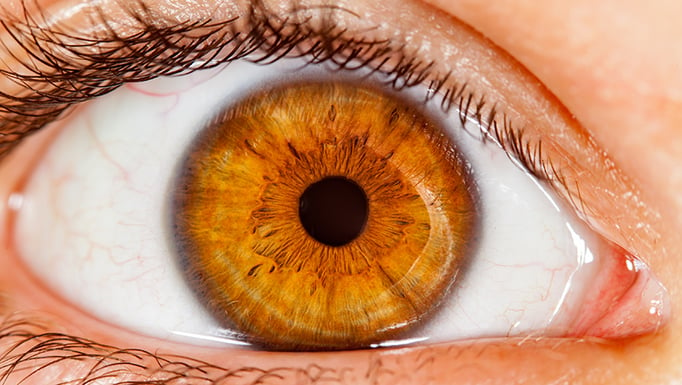 What can your eyes tell you about heart disease? - UChicago Medicine