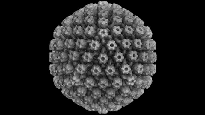 Herpes simplex virus