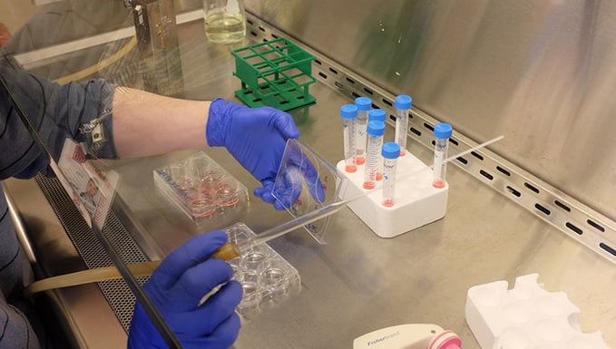 Hands under a hood doing lab research