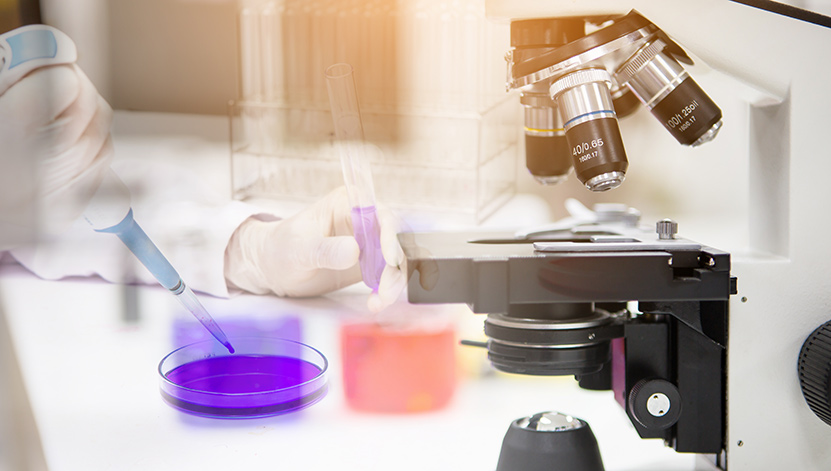 Hands using pipette and microscope in a lab