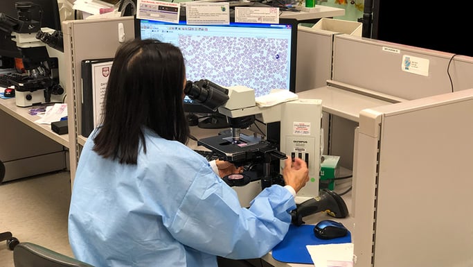 Pathology technician sits at a microscope