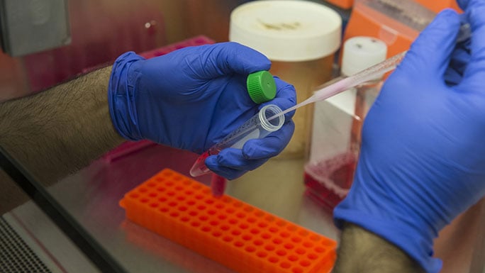 Test tubes in a research lab