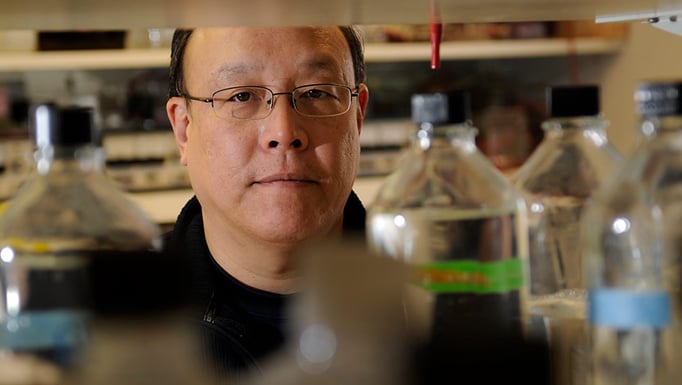 Eugene B. Chang