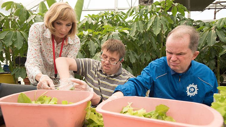 Image of a Misericordia residents and staff gardening and sorting greens