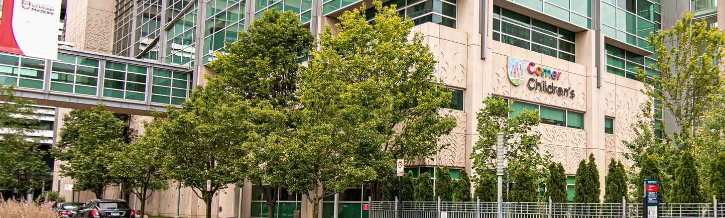 Comer Children's Hospital in Hyde Park