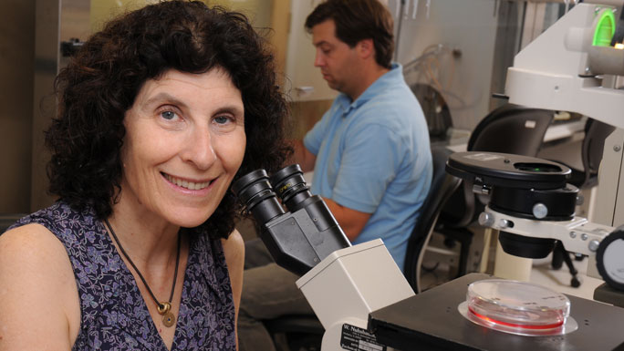 Marsha Rosner, PhD