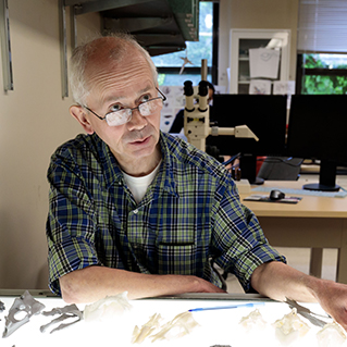 Michael Coates, PhD, with the Gladbachus fossil
