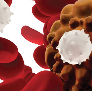 car t-cell therapy