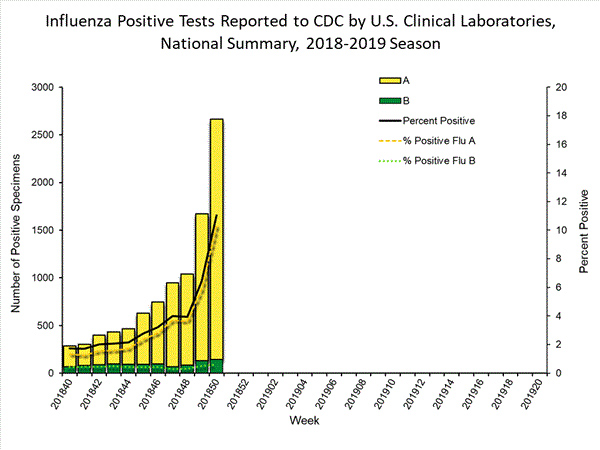 Statistiche influenza 2018-19