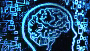 Brain on a computer screen