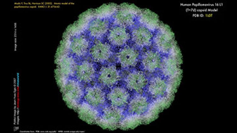 HPV