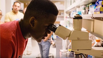 Student looks into microscope