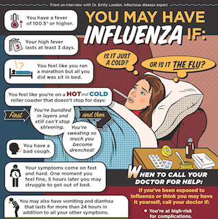 Flu Prevention infographic